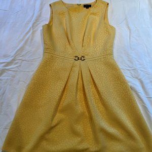 Tahari dress size 10